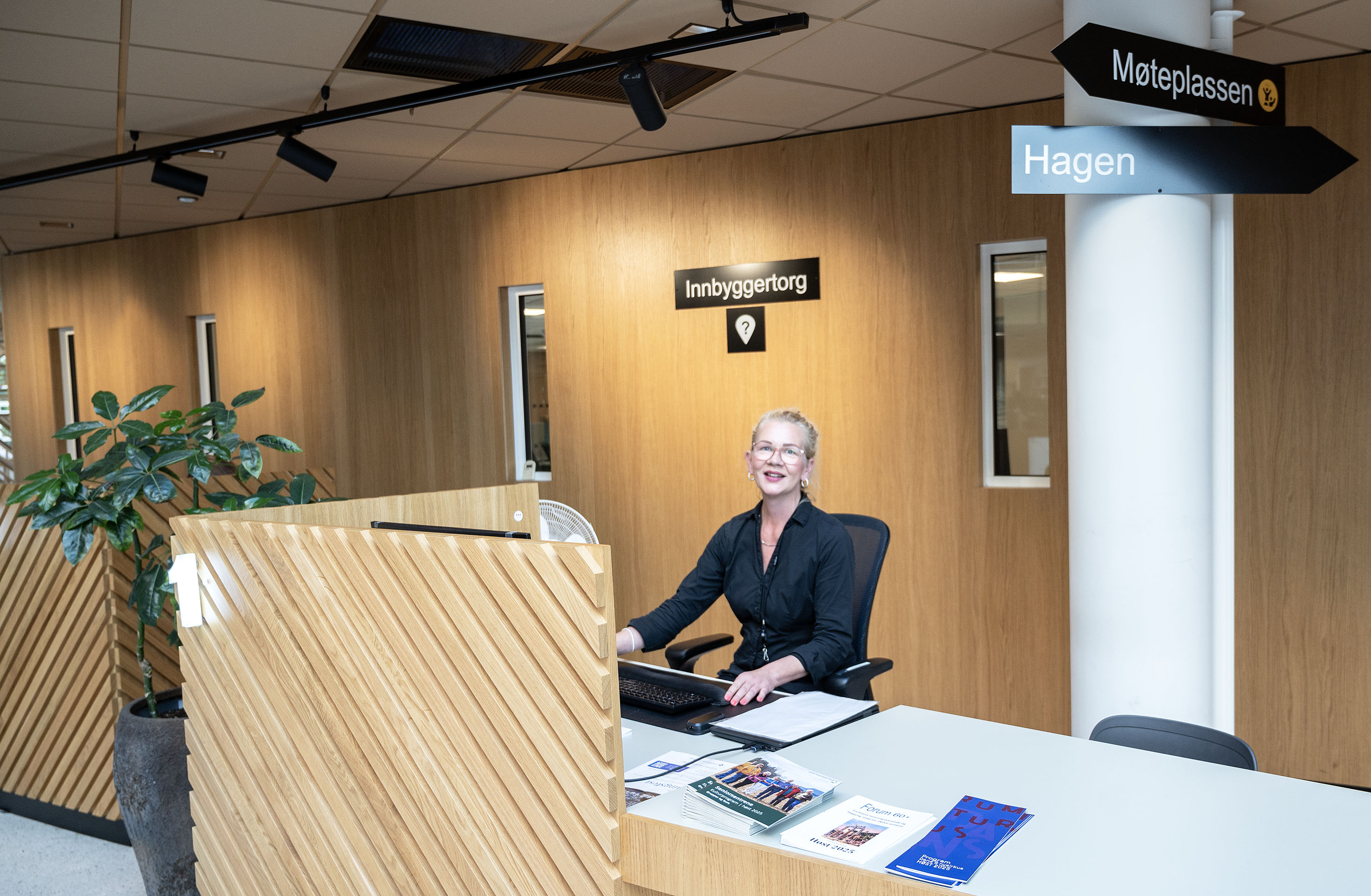 Organisasjon, styring og utvikling