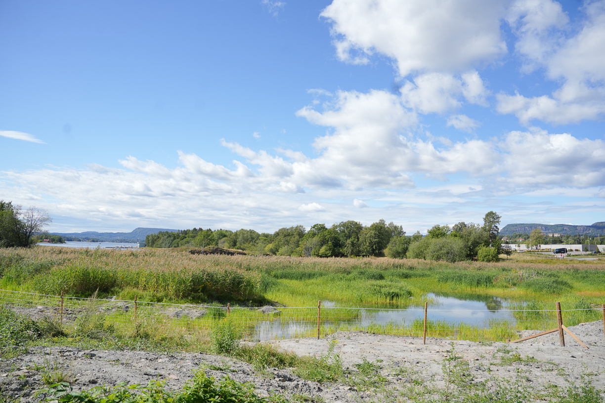 Storøykilen naturreservat