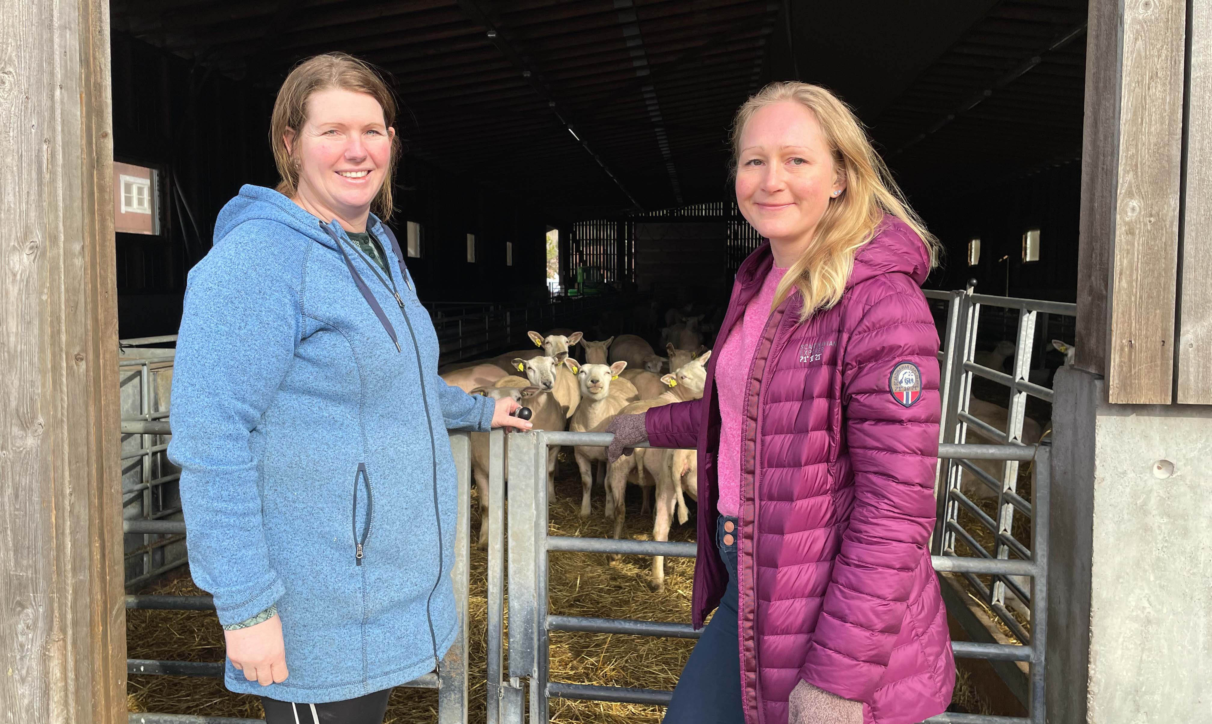 Prosjektleder Ingeborg Briseid Kraft (t.h.) besøker Grønnsletta gård. Gjennom Kortreist mat jobber kommunen for å gjøre det enklere for lokale bønder å selge produkter til kommunen. Her med gårdbruker Heidi Akselsen (t.v.).