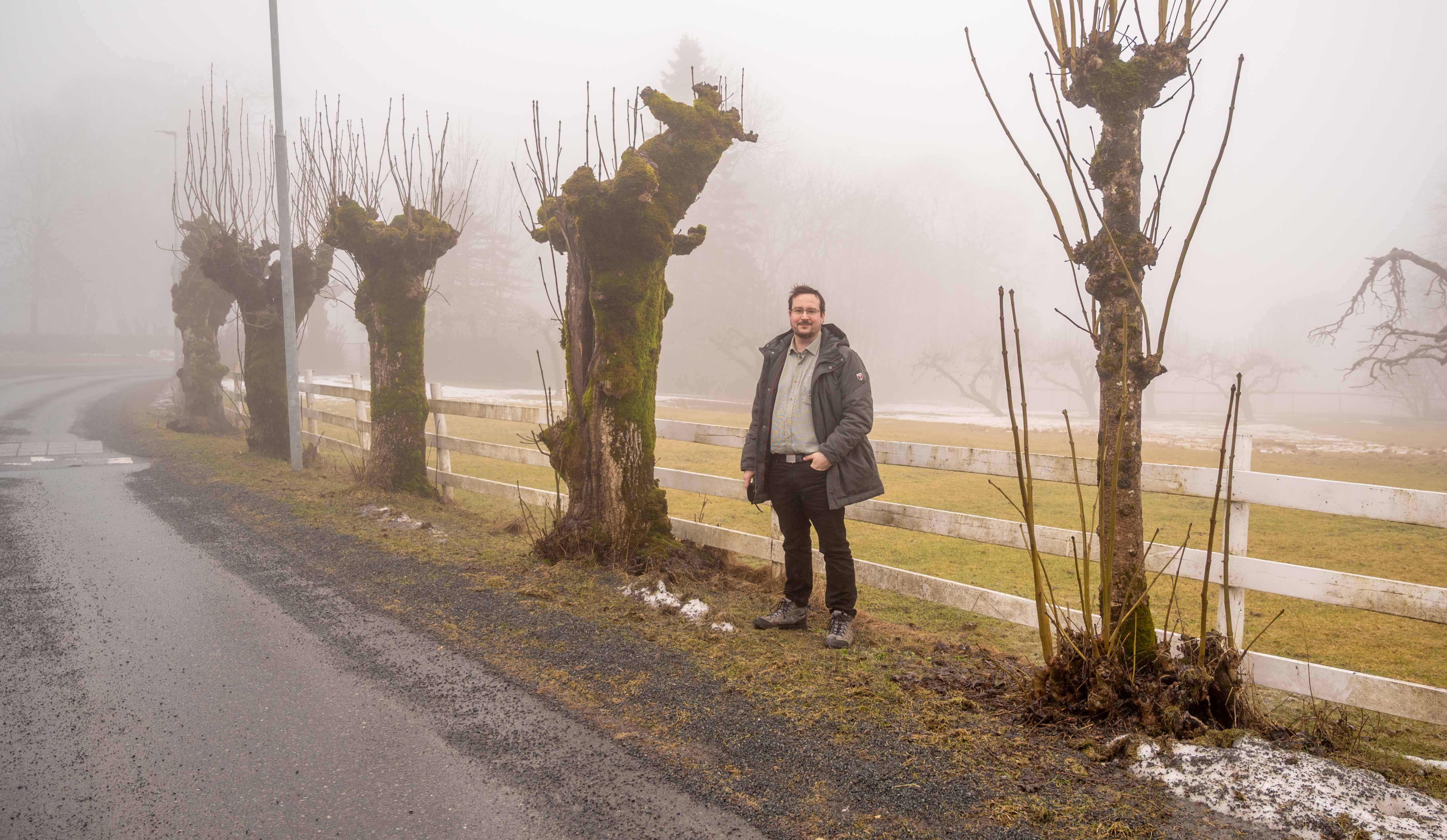 Kommunen følger nøye med på døde og døende trær langs Tanumveien for å gripe inn før det oppstår farlige situasjoner.