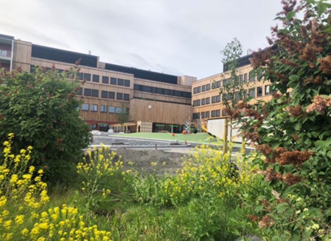 Oksenøya skole