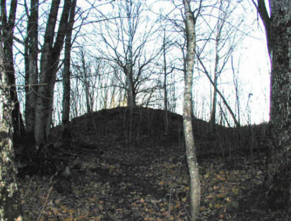 Fornminner på Tanum