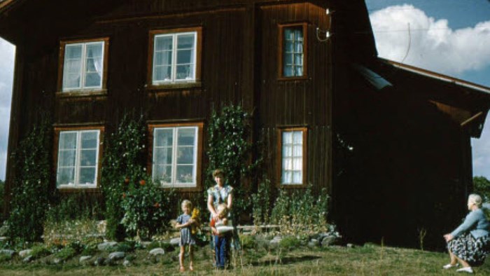 Gråjong