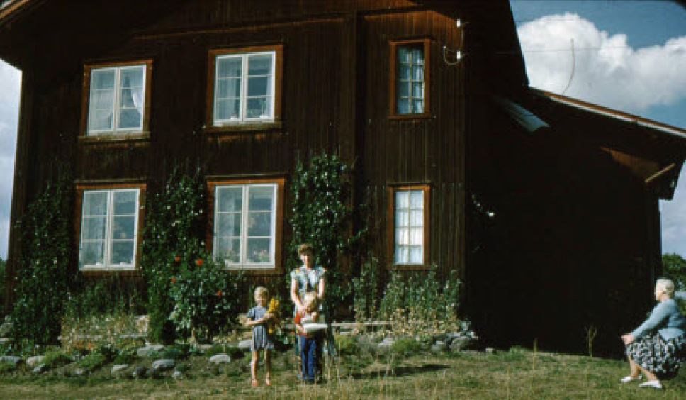 Gråjong