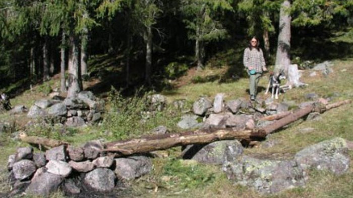 Haugsvollen
