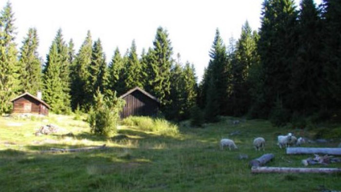 Stovivollen