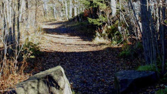 Tanum kirkevei 1
