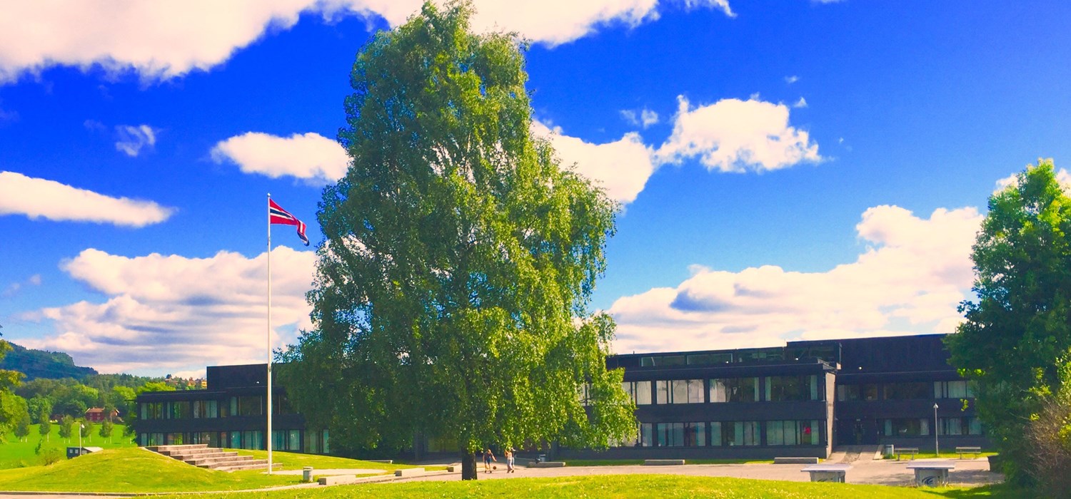 Bjørnegård ungdomsskole