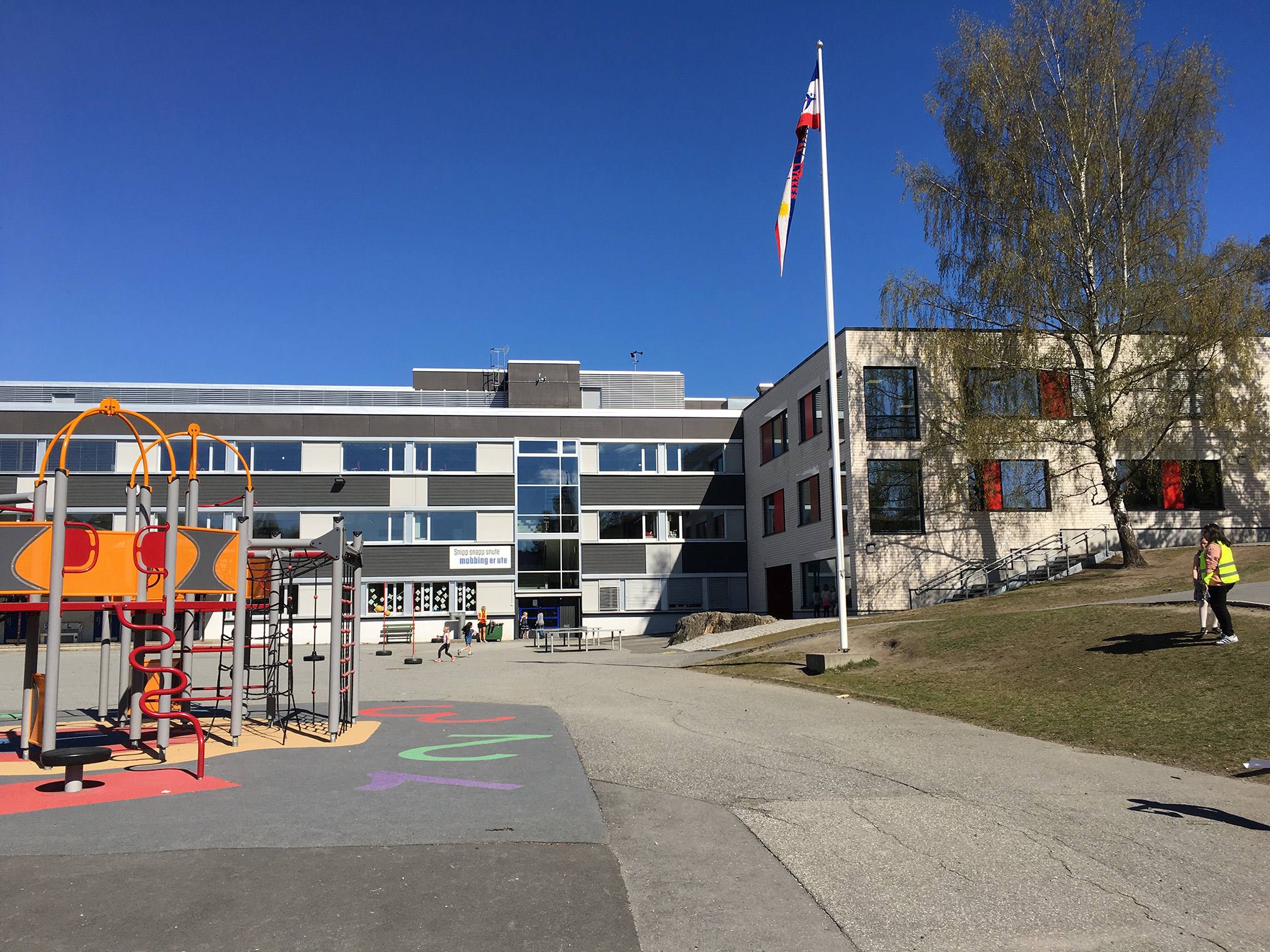 Jong barneskole