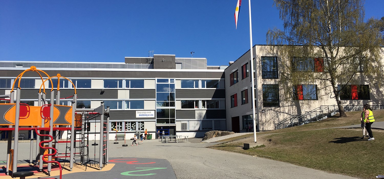 Jong barneskole
