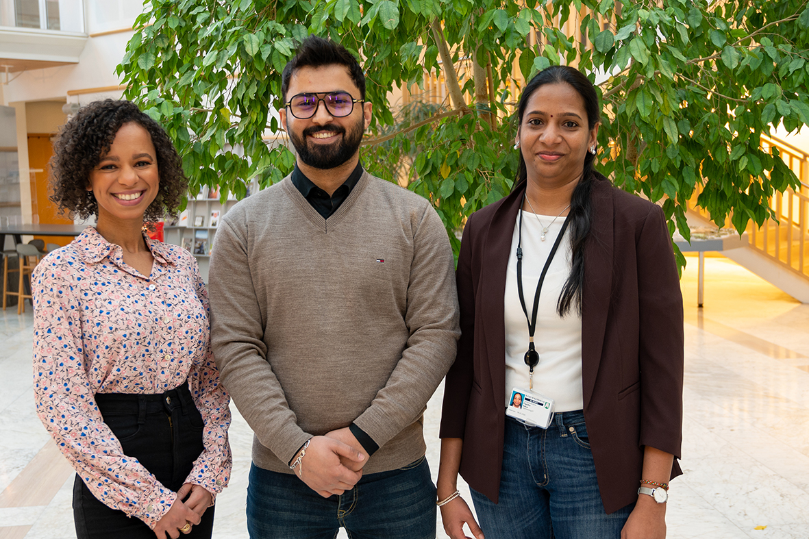 Traineeprogram - Bærum kommune