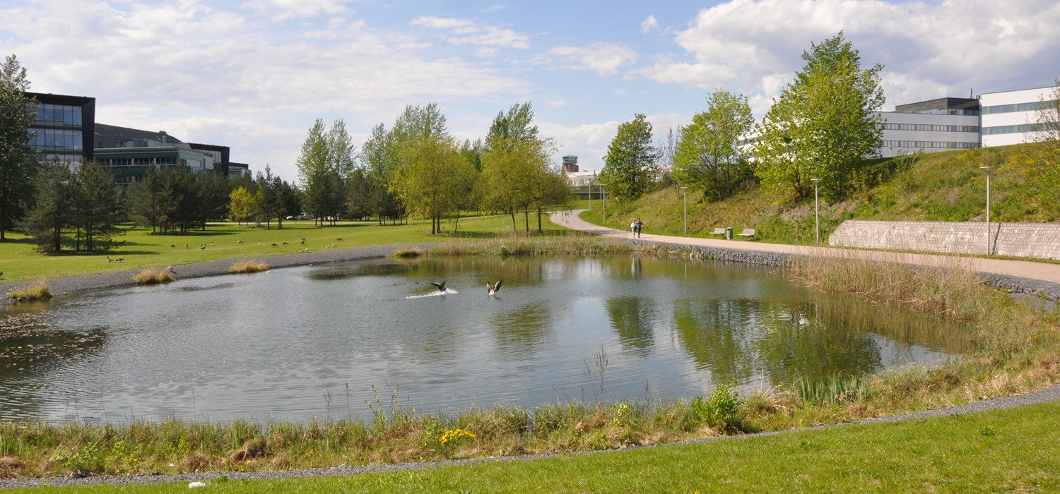 Fornebu