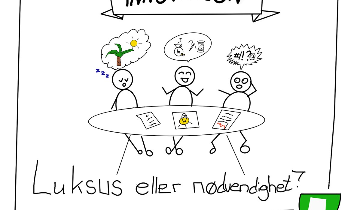 Innovasjon - luksus eller nødvendighet