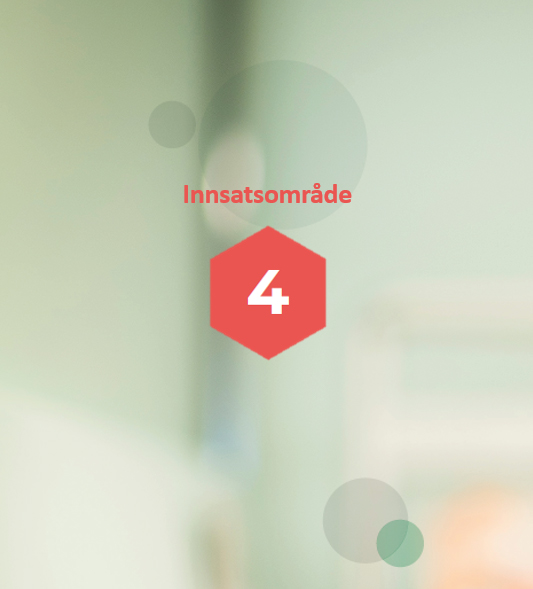 Innsatsområdet 4