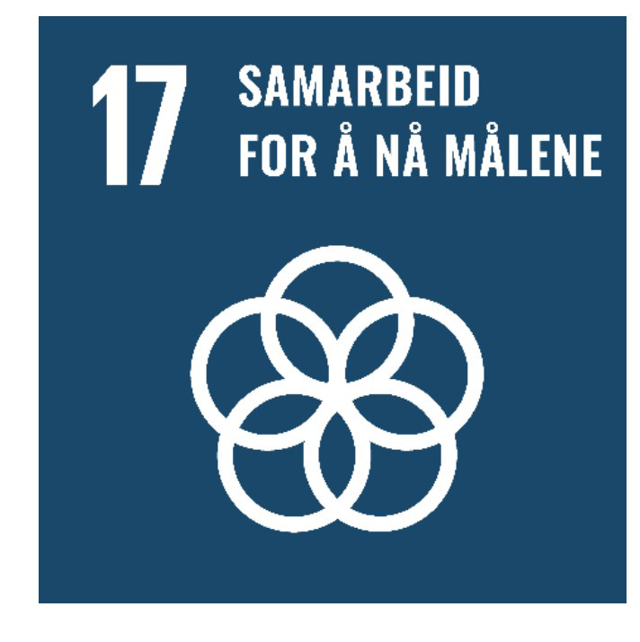 Bærekraftsmål 17