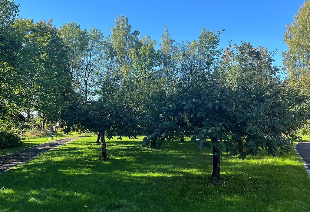 Hagen - Stabekk Helsehus og Hospice