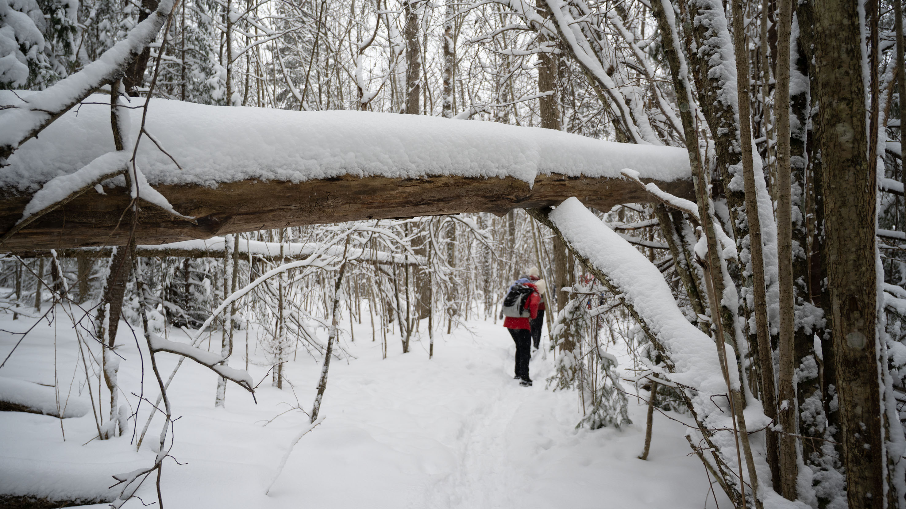 Vintertur på Kalkstien