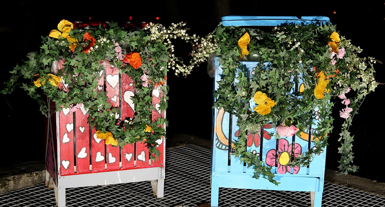 Blomsterkasser fargerike