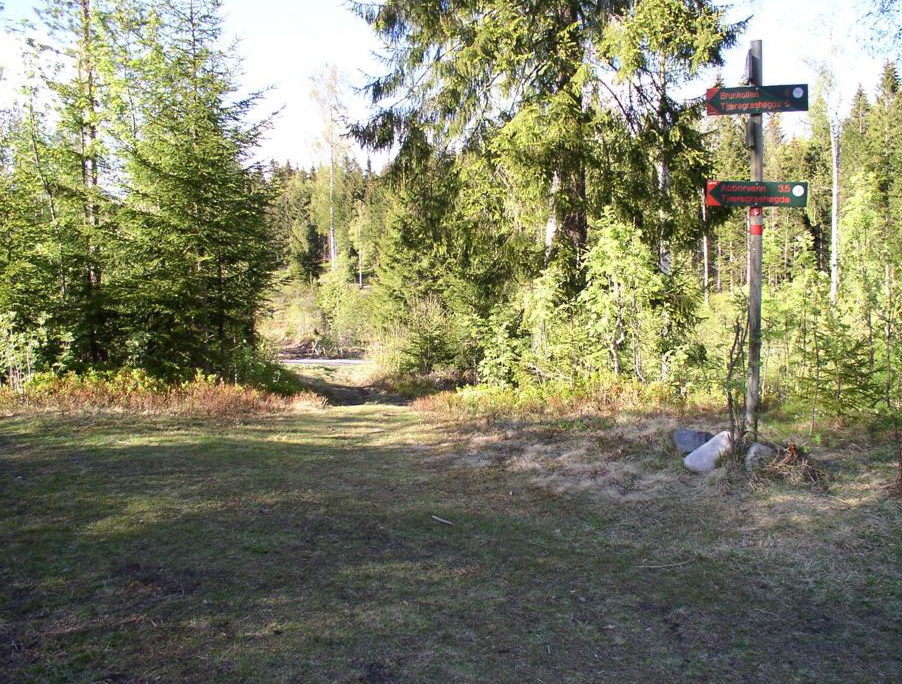 “Den grønne bonn”