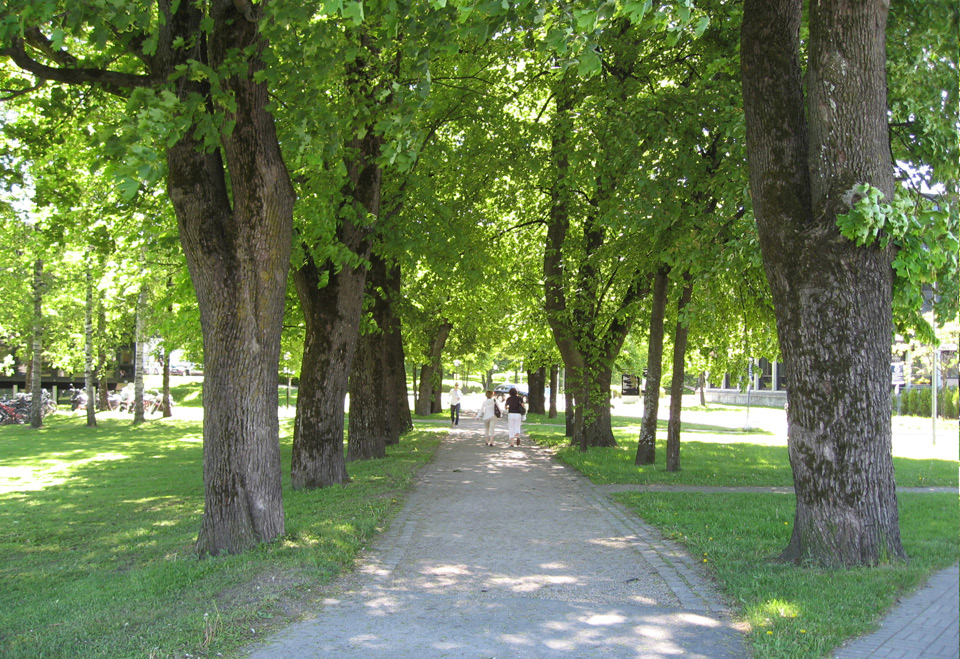 Alléer er regelmessige tre-rekker på begge sider av en vei