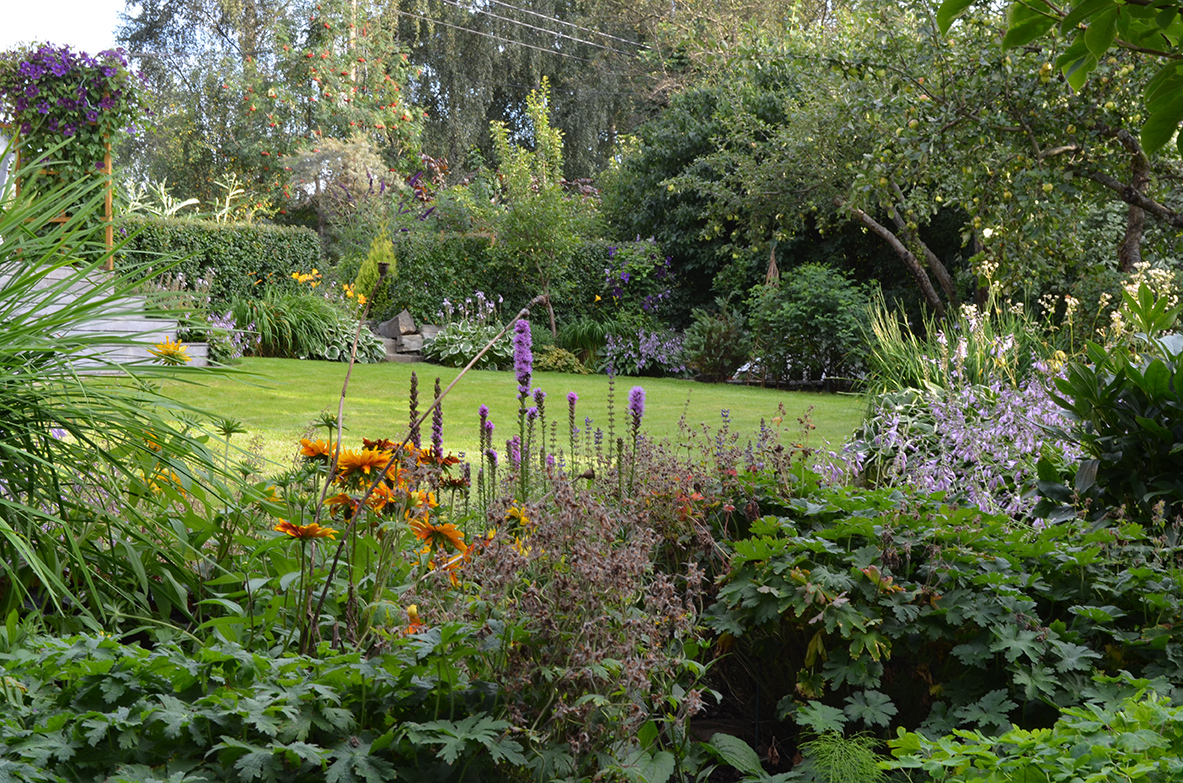 Frodig staudebed i en privat hage på Hosle.