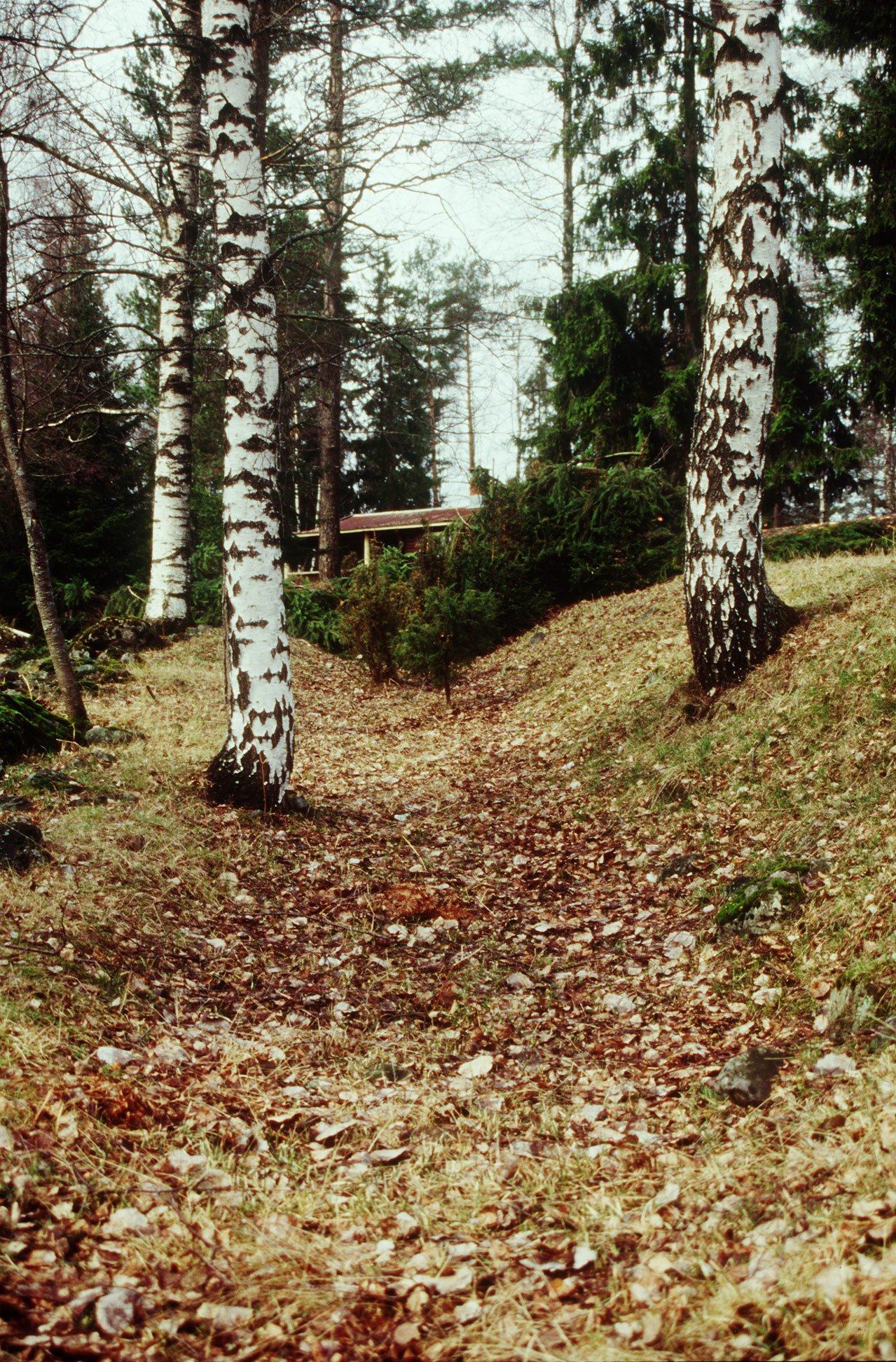Larshavna 